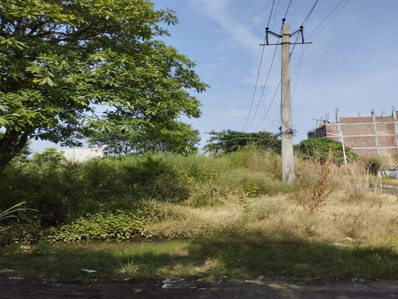  277 Sq. Yards Residential Plot for Sale in Sector 14 Bahadurgarh