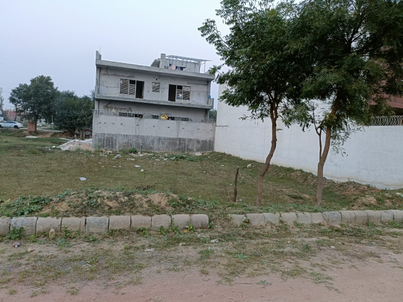  372 Sq. Yards Residential Plot for Sale in Sector 2 Bahadurgarh