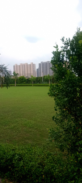 1 RK Farm House 4000 Sq. Yards for Sale in Sector 150 Noida