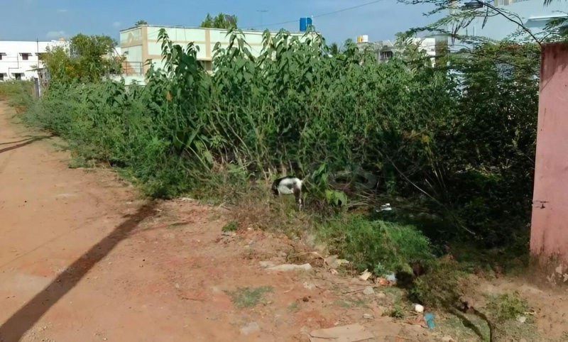  Residential Plot 3207 Sq.ft. for Sale in Pulivalam, Thiruvarur