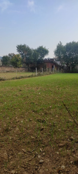  Residential Plot for Sale in Katra, Reasi