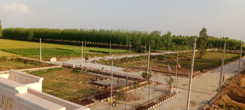  Residential Plot 100 Sq.ft. for Sale in Kurali, Mohali