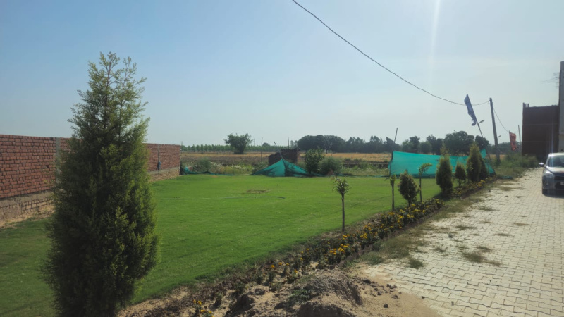  Residential Plot 100 Sq.ft. for Sale in Kharar Kurali Road, Kharar Kurali Road, Mohali