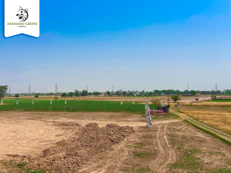  Residential Plot 900 Sq.ft. for Sale in Kurali, Mohali