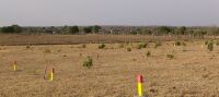  Residential Plot for Sale in Kondhali, Nagpur