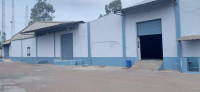  Warehouse for Rent in Ring Road, Raipur