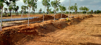  Residential Plot for Sale in Gopalgaon, Baleswar