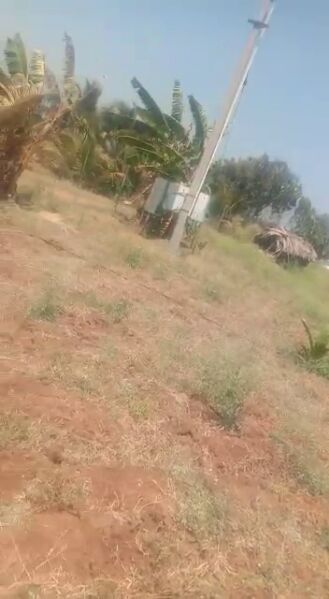  4 Acre Agricultural/Farm Land for Sale in Alanthurai, Coimbatore