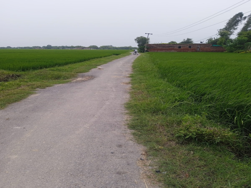  Residential Plot 1360 Sq.ft. for Sale in Ramnagar, Varanasi