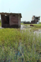  Residential Plot for Sale in Bindki, Fatehpur-UP