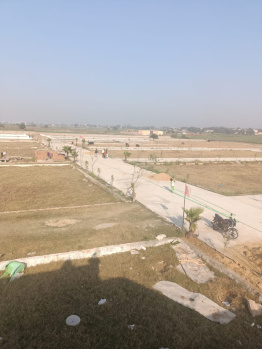  Residential Plot for Sale in Yamuna Expressway, Greater Noida