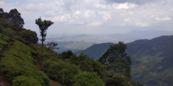  Agricultural Land for Sale in Attapadi, Palakkad