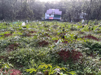 2 BHK House for Sale in Mannarkkad, Palakkad