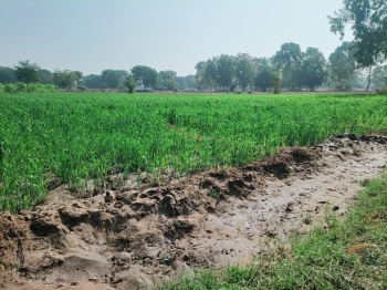  Agricultural Land for Sale in Dahegam, Gandhinagar