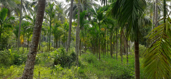  Agricultural Land for Sale in Honnavar, Uttara Kannada