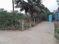  Residential Plot for Sale in Nimapada, Puri
