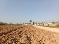 Industrial Land for Sale in Malur, Bangalore