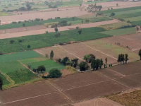  Agricultural Land for Sale in NH 8, Dharuhera