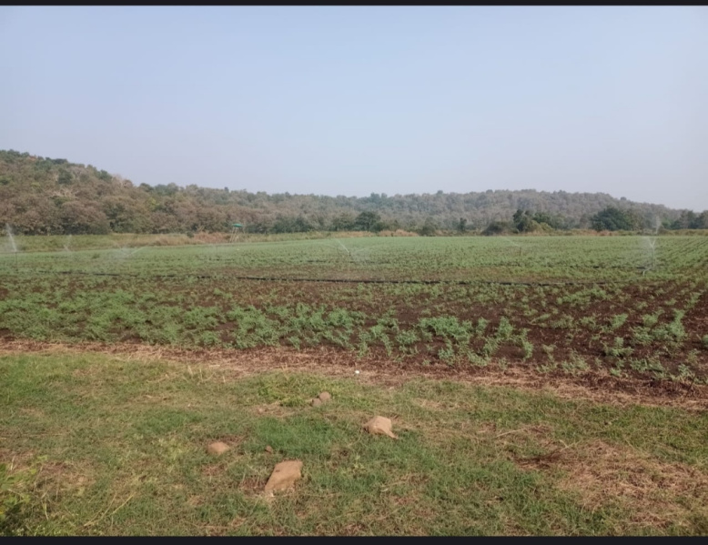 Agricultural Land 370260 Sq.ft. for Sale in