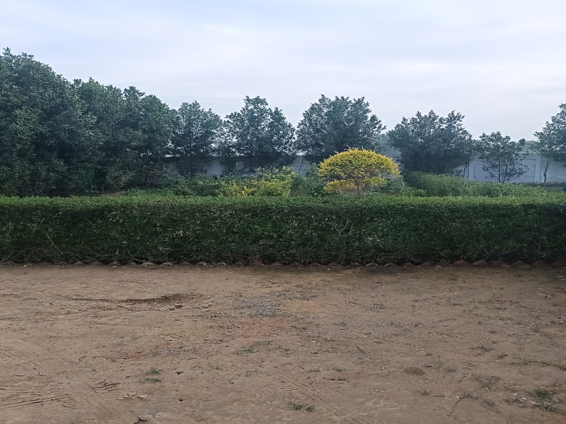  Agricultural Land 3000 Sq. Yards for Sale in Sohna, Gurgaon