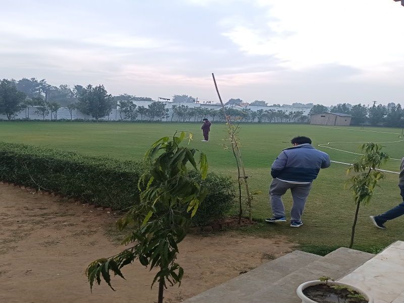  Agricultural Land 3000 Sq. Yards for Sale in Sohna, Gurgaon