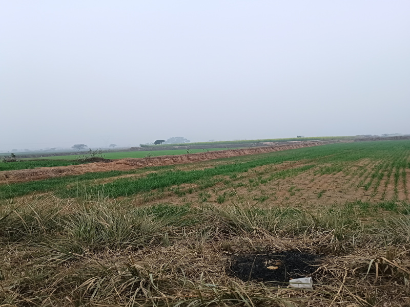  Agricultural Land 3 Acre for Sale in Pataudi, Gurgaon