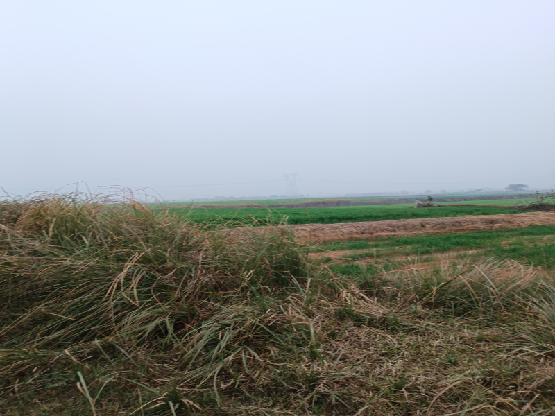  Agricultural Land 3 Acre for Sale in Pataudi, Gurgaon