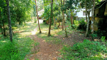  Commercial Land for Sale in Haleangadi, Mangalore