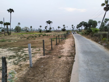  Agricultural Land for Sale in Snp Agraharam, Bapatla, Guntur