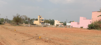  Residential Plot for Sale in Kilnachipattu, Tiruvannamalai