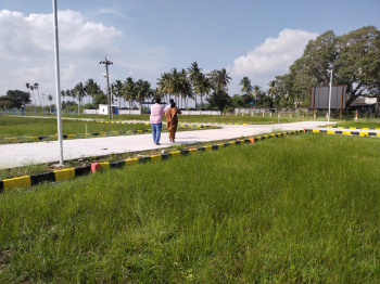  Residential Plot for Sale in Arani, Thiruvallur