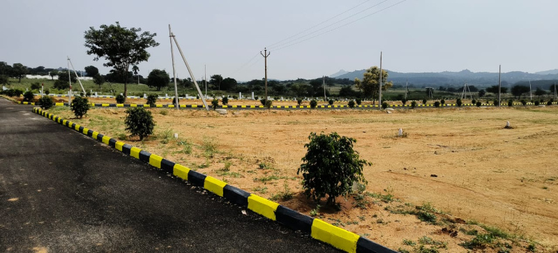  Residential Plot 267 Sq. Yards for Sale in Bangalore Highway, Hyderabad