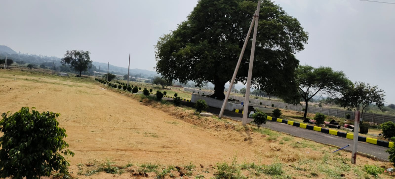  Residential Plot 267 Sq. Yards for Sale in Bangalore Highway, Hyderabad