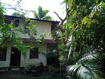 3 BHK Farm House for Sale in Cherthala, Alappuzha