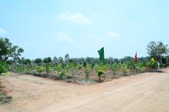  Agricultural Land for Sale in Aleru, Hyderabad