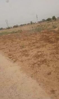 Residential Plot for Sale in Sector 95 Gurgaon