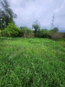  Agricultural Land for Sale in Kulana, Jhajjar