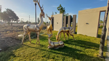  Residential Plot for Sale in Ujjain Road, Indore