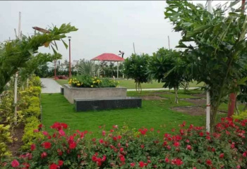  Residential Plot for Sale in Bhawrasla, Indore