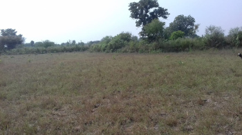  Agricultural Land for Sale in Ambabai, Jhansi