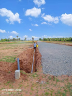 Agricultural Land for Sale in Kinathukadavu, Coimbatore