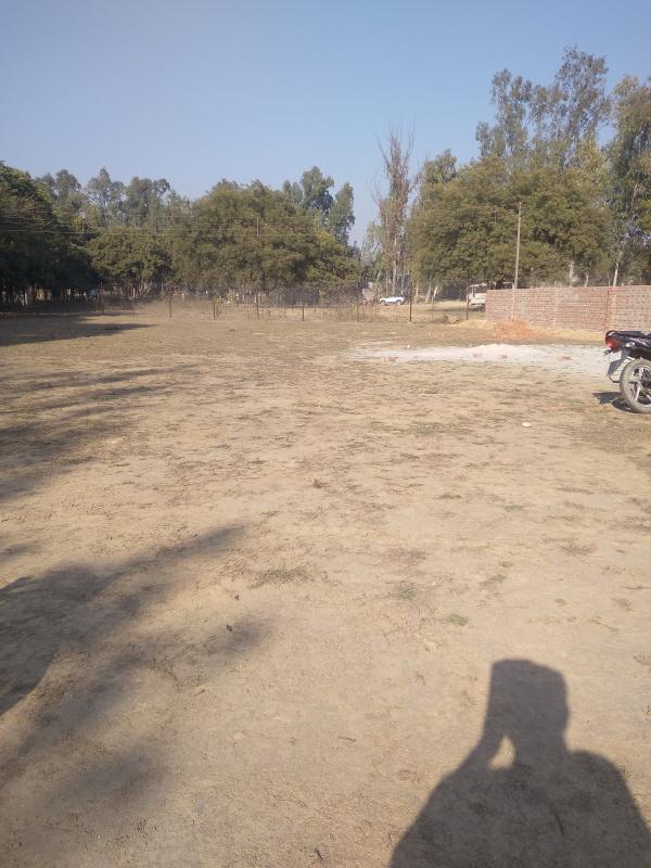  Residential Plot 1000 Sq. Yards for Sale in Dera Mandi, Delhi