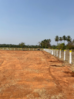  Residential Plot for Sale in Dhaliyur, Coimbatore