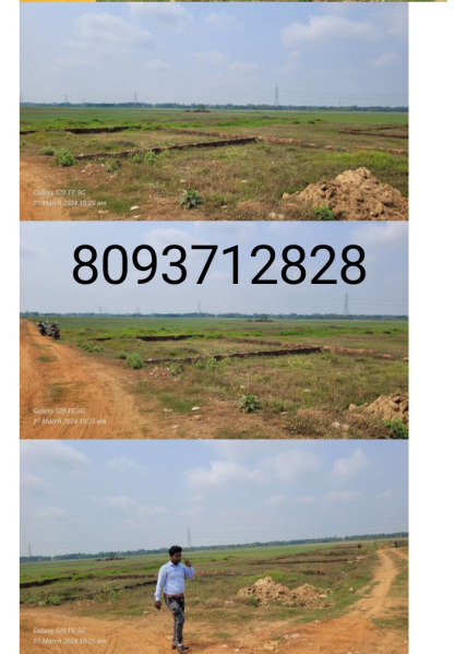  Residential Plot 1200 Sq.ft. for Sale in Gudia Pokhari, Bhubaneswar