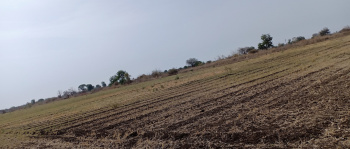  Agricultural Land for Sale in Loni, Amravati