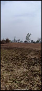  Agricultural Land for Sale in Loni, Amravati