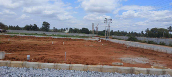  Residential Plot for Sale in Ashok Nagar, Bilaspur