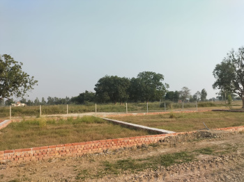  Residential Plot for Sale in Sakri, Bilaspur
