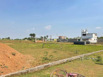  Residential Plot for Sale in Rajkishore Nagar, Bilaspur
