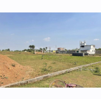  Residential Plot for Sale in Mopka, Bilaspur